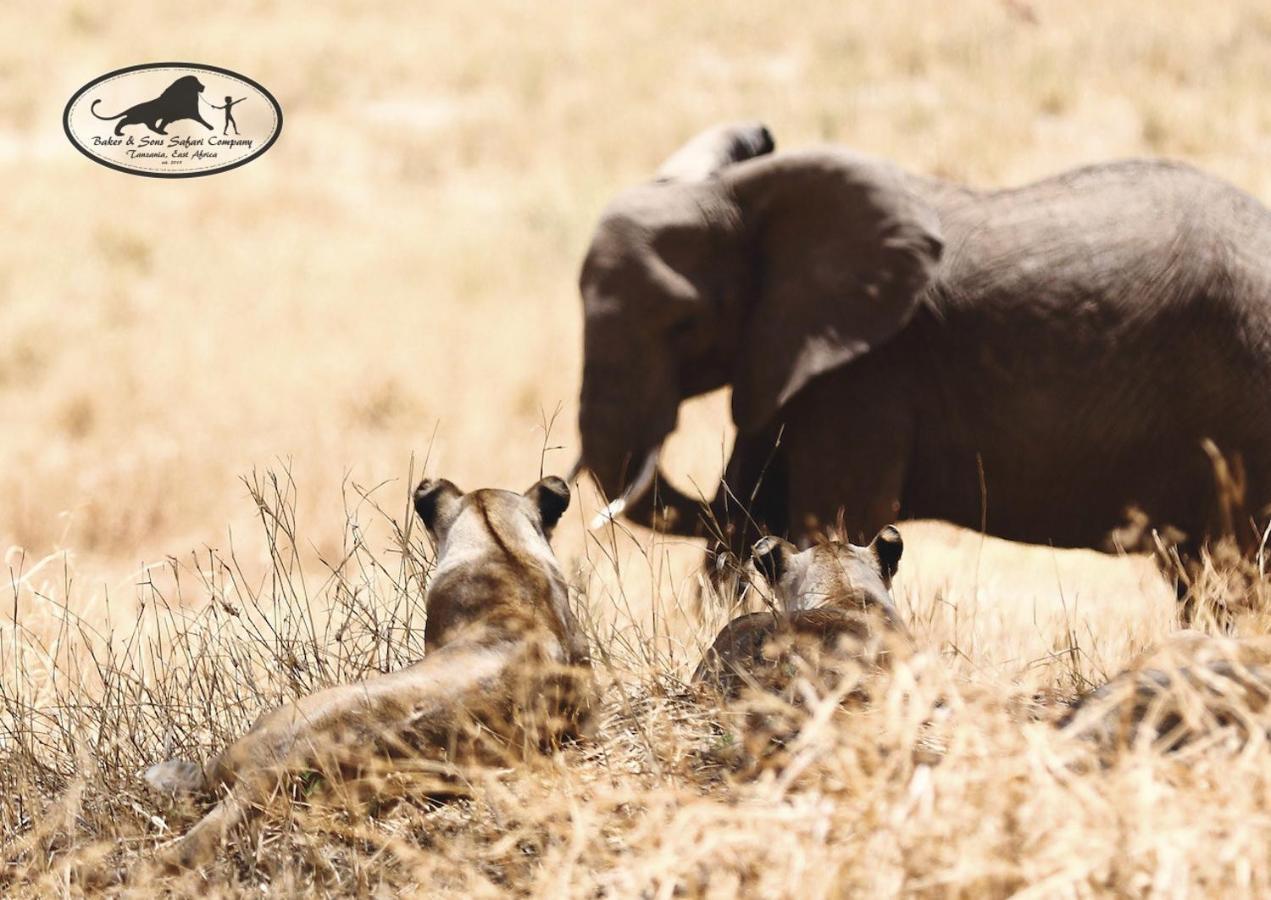 Baker Safari Company Villa Kwangwazi Ngoại thất bức ảnh