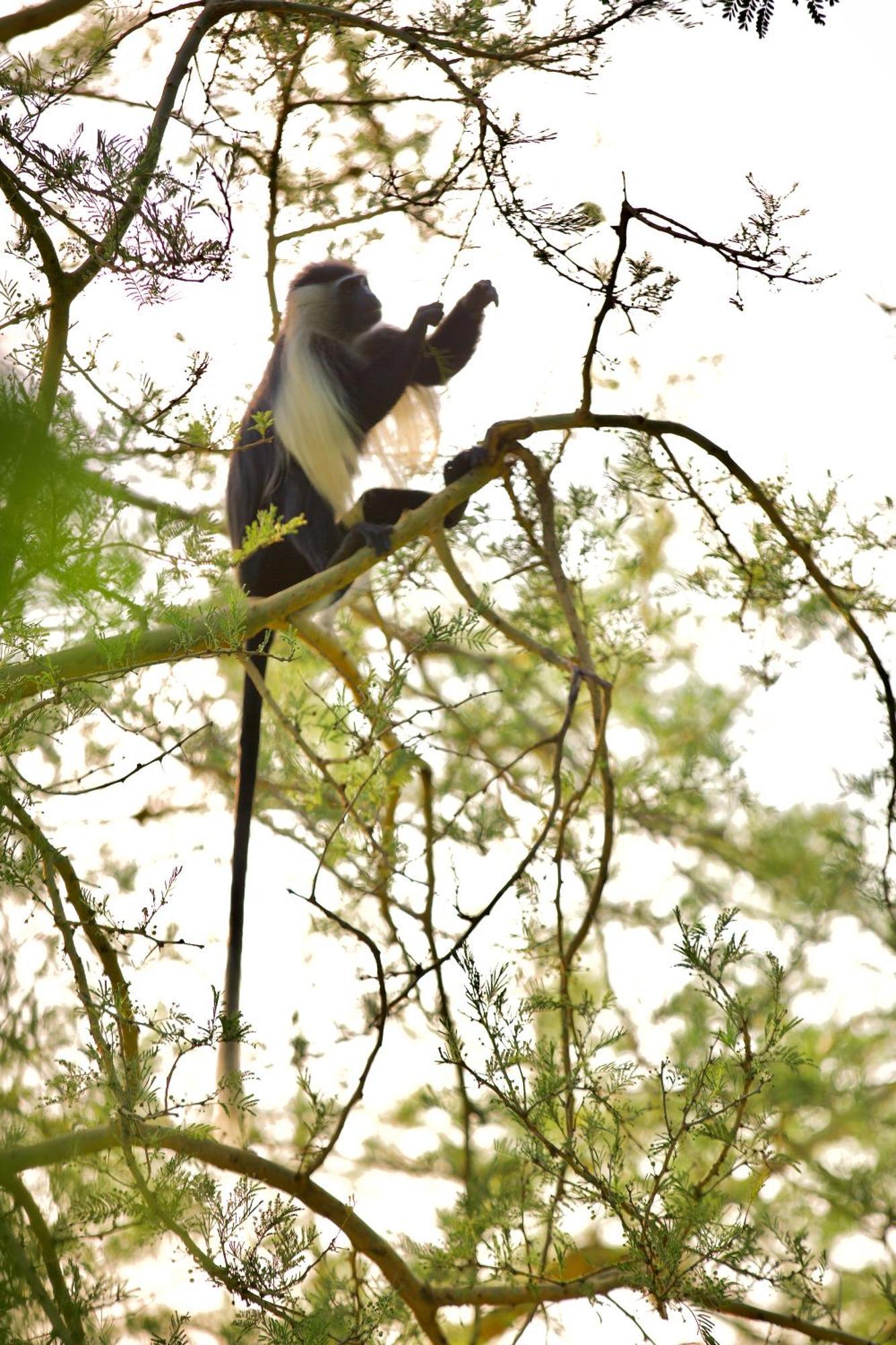 Baker Safari Company Villa Kwangwazi Ngoại thất bức ảnh