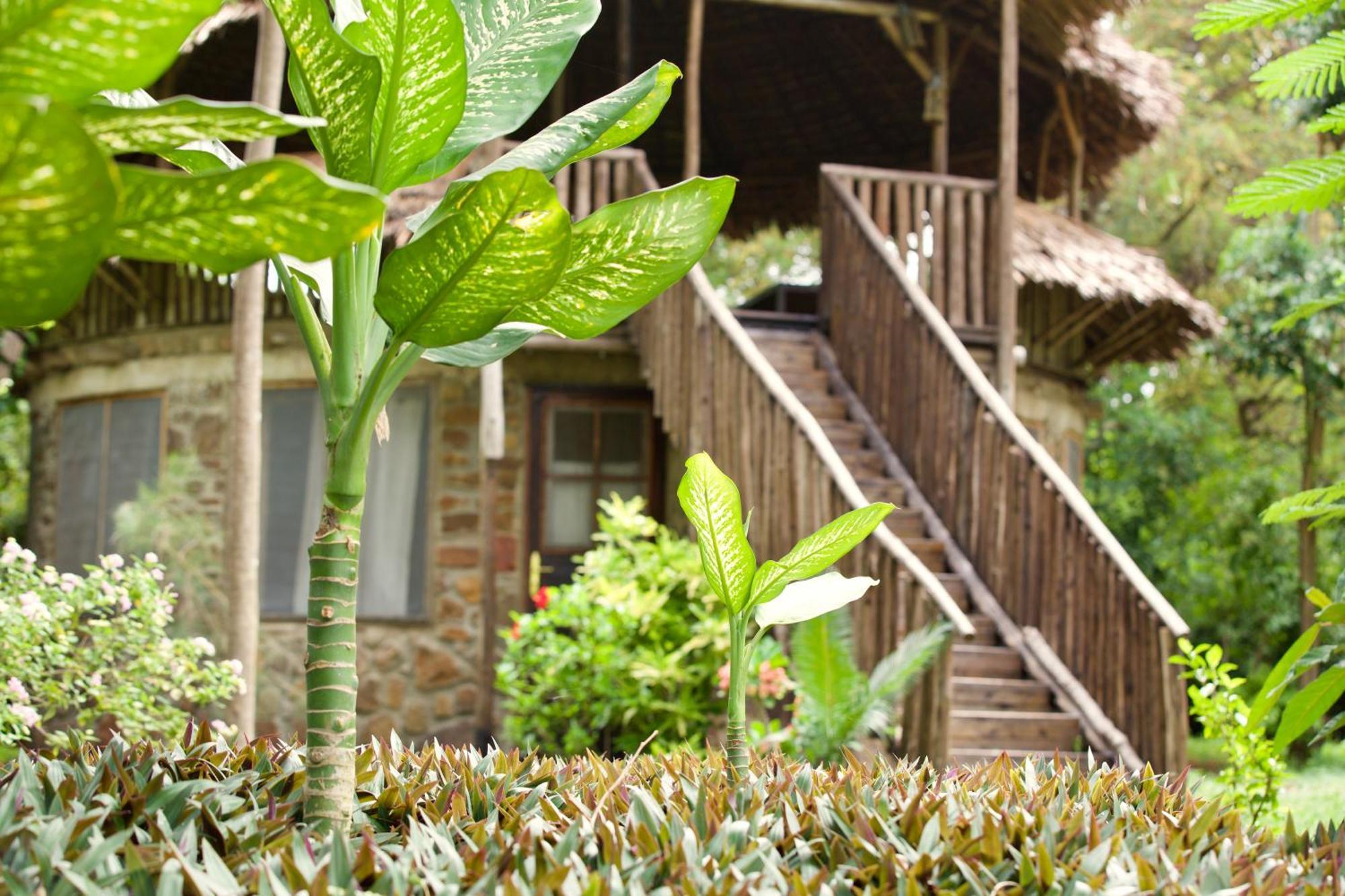 Baker Safari Company Villa Kwangwazi Ngoại thất bức ảnh