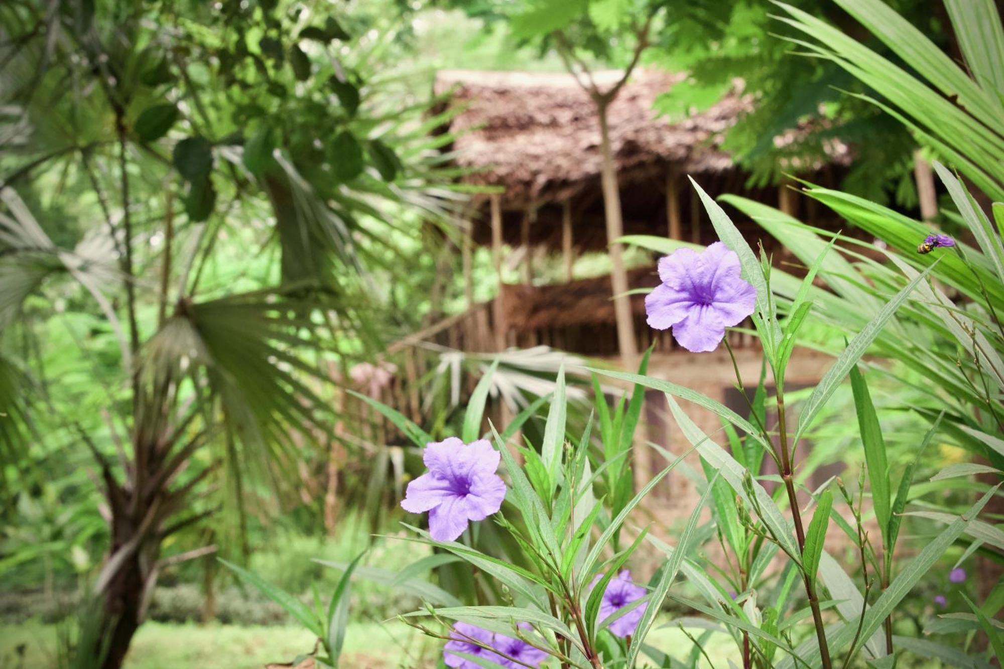 Baker Safari Company Villa Kwangwazi Ngoại thất bức ảnh