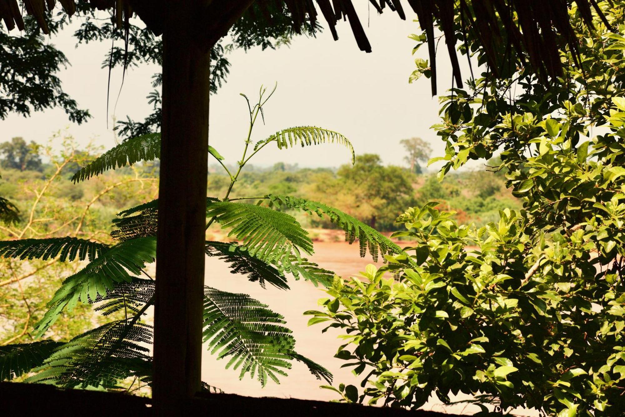 Baker Safari Company Villa Kwangwazi Ngoại thất bức ảnh