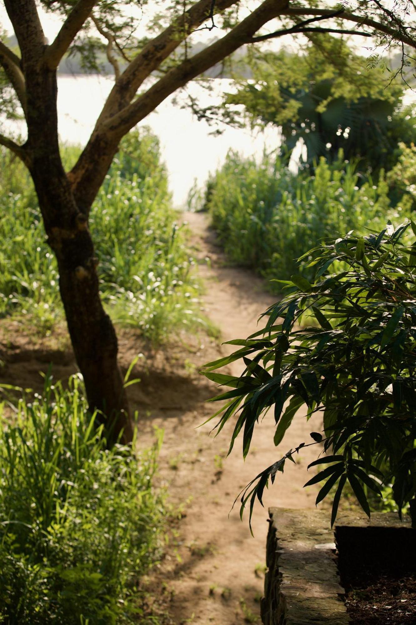 Baker Safari Company Villa Kwangwazi Ngoại thất bức ảnh